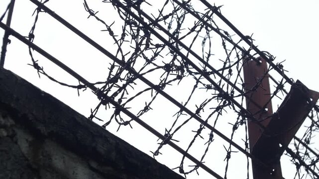 Barbed wire fence rows silhouetted against white overcast sky on concrete wall security barrier boundary prison concept