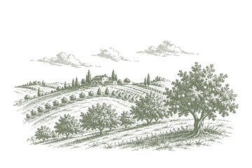 Fototapeta premium Classic woodcut style vector illustration of rolling vineyard hills and a farm house landscape for wine production and rural tourism themes.