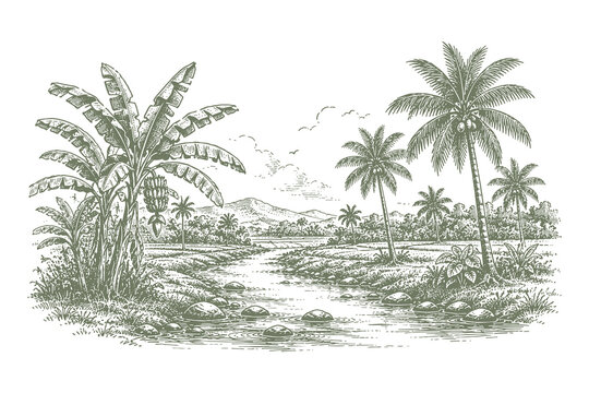 Hand drawn vintage engraving vector illustration of a tropical river landscape with palm trees and lush vegetation for travel and nature themes.