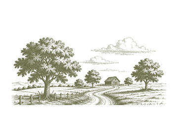 Detailed woodcut style vector illustration of a winding dirt road leading to a distant barn in a picturesque farm landscape with large shade trees. © Chairul