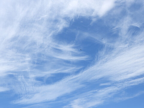 Cielo