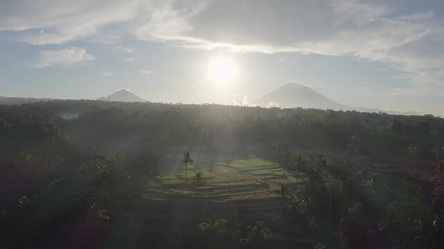 Aerial view of lush rice terraces and volcanic mountains under a golden sunrise in Batur, Central Java, Indonesia.