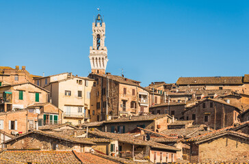 Fototapeta premium Siena view of medieval town, famous bell tower 'Torre del Mangia' on the Piazza del Campo di Siena, Tuscany, Italy
