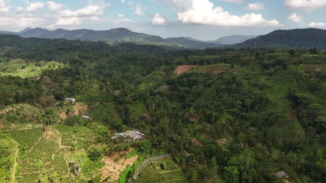Aerial View Above Sinharaja Forest Mountains In Sri Lanka
Aerial drone footage above lush Sinharaja forest mountains and valleys in Sri Lanka May 2026.
