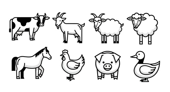 Farm Animals.