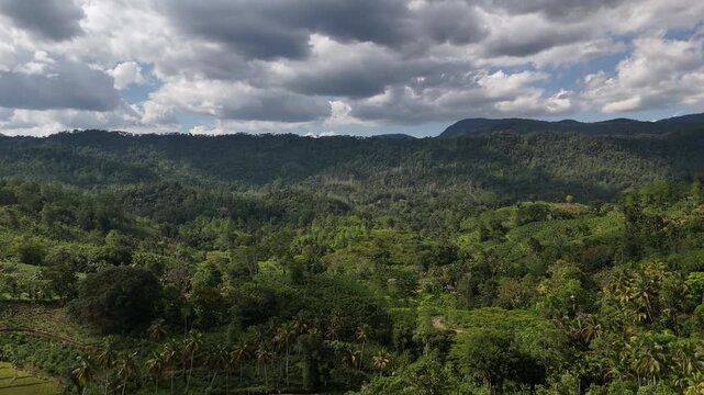 Aerial View Above Sinharaja Forest Mountains In Sri Lanka
Aerial drone footage above lush Sinharaja forest mountains and valleys in Sri Lanka May 2026.
