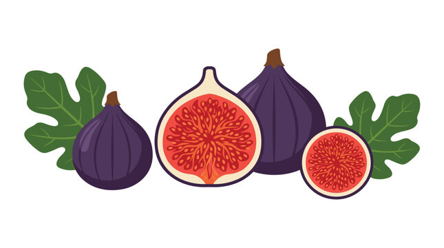 A balanced arrangement of two whole purple figs, one halved fig, and a sliced round section alongside two large green fig leaves on a light gray background.