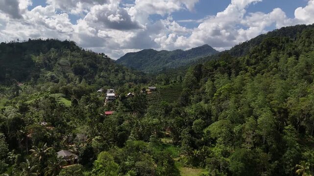 Aerial View Above Sinharaja Forest Mountains In Sri Lanka
Aerial drone footage above lush Sinharaja forest mountains and valleys in Sri Lanka May 2026.

