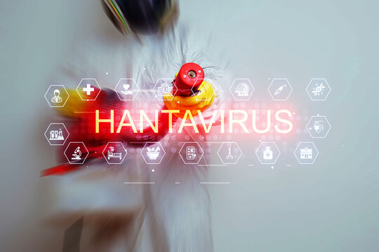 Hantavirus awareness with health symbols and red and yellow objects on a white background