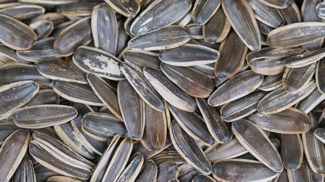 Sunflower seed closeup. Close shot highlighting salted sunflower seeds texture. Detailed macro photograph of roasted salted sunflower seeds with rustic market ambiance