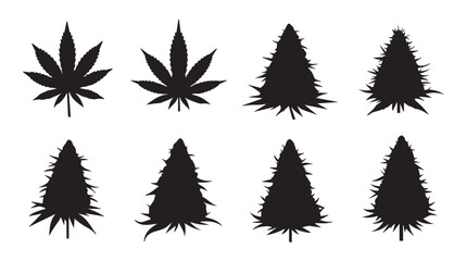 Obraz premium Cannabis leaf and bud silhouettes against white background representing growth and nature concepts