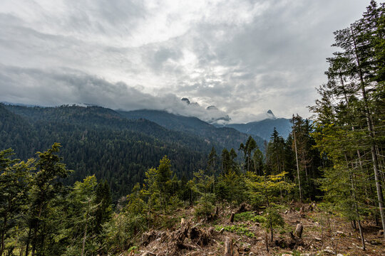 ampia vista panoramica su un paesaggio di montagna nel Friuli Venezia Giulia nord-occidentale, con lunghe catene montuose e vaste foreste di conifere, di giorno, sotto un cielo nuvoloso, in estate