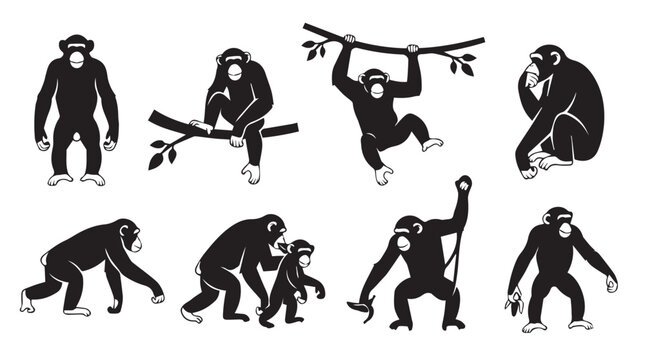 Chimpanzee family group moving with playful interaction against a white background in silhouette style