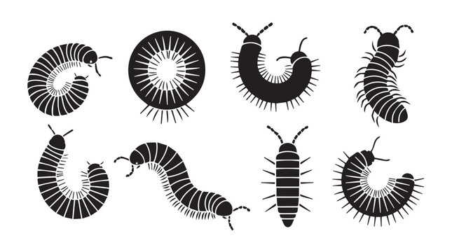 Collection of black millipede silhouettes against a white background in various poses and shapes