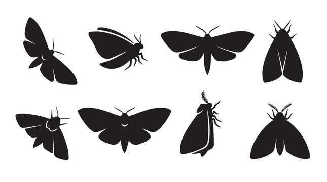Eight Moth Silhouettes in Various Poses Against a White Background for Design Elements
