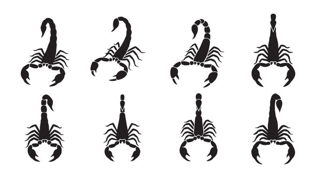 Eight Scorpion Silhouettes Against a White Background with Tail Up Pose