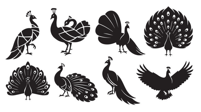 Elegant peacock silhouettes in various poses against a stark white background symbolizing grace and beauty