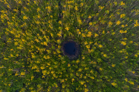 Aerial view of a lowland swamp in Belarus