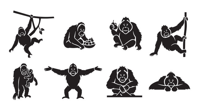 Orangutan silhouettes in various poses against a white backdrop for diverse commercial applications
