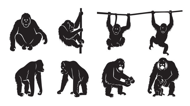 Orangutan silhouettes in dynamic poses against a white background for versatile design applications