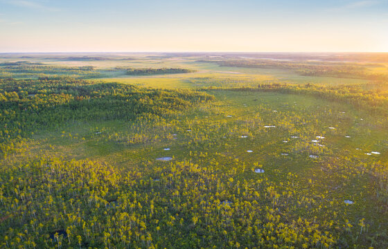 Sunset over Almany swamp, Belarus