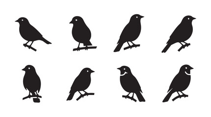 Fototapeta premium Various small birds perched on branches against a white background in a clean silhouette style