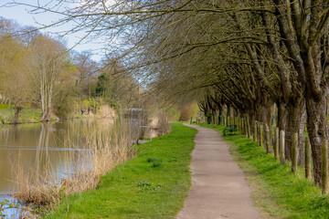 Fototapeta premium Spring countryside landscape, Natural path beside the Kromme Rijn river, Tranquil riverside walkway trail with lush green grass and orchard along the water, The Dutch province of Utrecht, Netherlands.