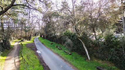 Fototapeta premium A dirt path in the forest next to a small country road in Vendée on a beautiful winter day