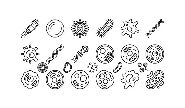 Minimalist bacteria line art icon collection with scientific microorganism and microbe symbols