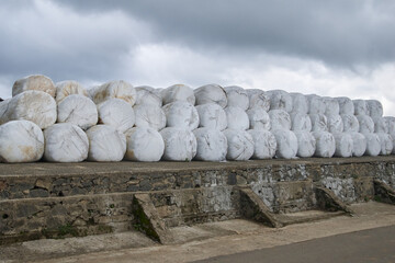 stack of white plastic wrapped round hay bales on concrete platform, agricultural storage in side view with copy space, harvest management concept © Shamil