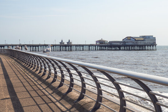 seagulls perched on the seafront railings in front of the North pier in Blackpool in summer sunlight