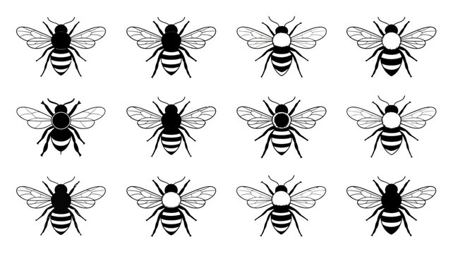 Black and yellow striped bees flying in a grid pattern