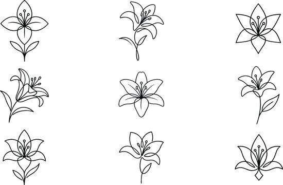 Minimalist lily flower line art icon collection set with simple continuous line drawings for modern logo design and tattoo branding
