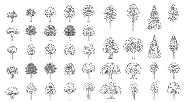 Set of various hand drawn sketch trees