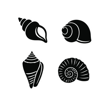 Sea Shell Silhouette Collection Vector on White Background