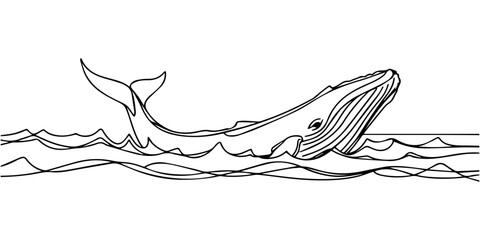 whale breaching continuous one line drawing, Whale breaching the surface A continuous line drawing, Singleline Humpback Whale Breaching Ocean Waves Drawing Art © Line sA