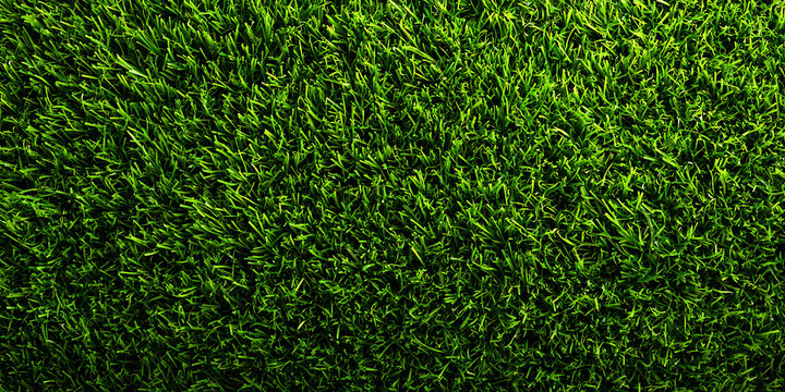 Lush Green Grass Background Texture Close Up