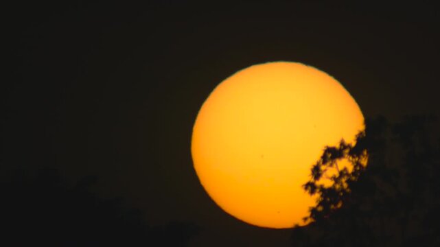 (SDR 709 10bit 4:2:2) - 4K Video Sunset sun with silhouette tree branches and warm orange glow, strong contrast with pronounced sunspots on the solar disk, captured with 1600mm telephoto &ndash; Cut 02