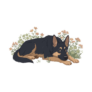 German shepherd dog surrounded by flowers