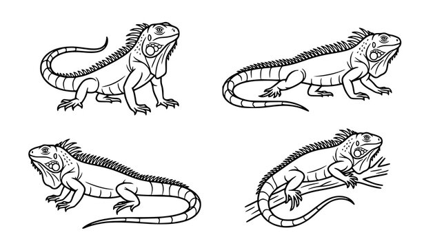 Creative Exotic Iguana Stroke Icon Collection for Desert and Tropical Vector Design