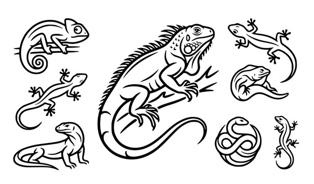 Stylish Iguana Line Art Vector Icons with Exotic Reptile Poses for Wildlife Branding