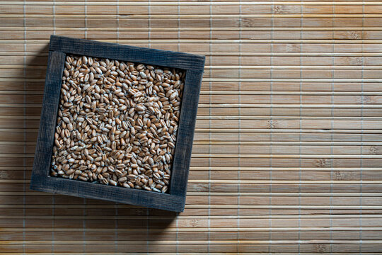 Top view of raw organic wheat seeds inside a dark wooden square frame on bamboo mat. Conceptual image for harvest, agriculture, and healthy eating with copy space