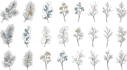 Elegant botanical branch vector collection featuring line art elements of pine cones eucalyptus leaves cotton and wild berries with subtle color accents. © MdGohurul
