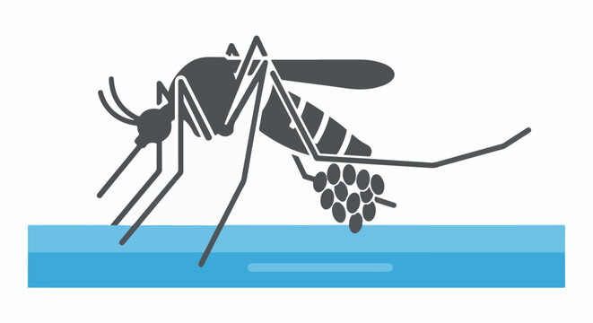 Silhouette of a mosquito laying eggs on the surface of blue water