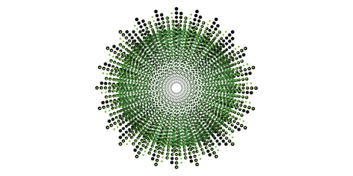 Scientific illustration of Chlamydomonas unicellular green algae with detailed internal anatomy and microscopic biological texture.
