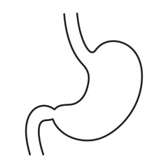 Fototapeta premium Human stomach anatomy illustration, digestive system diagram, stomach lining, gastrointestinal health