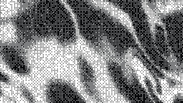Black White Halftone Dot Eye Close Up Grunge Texture