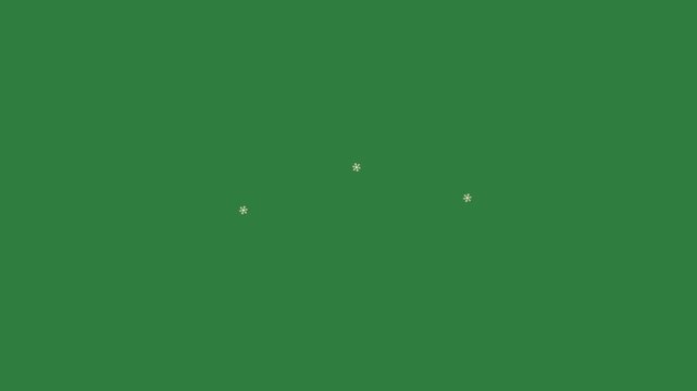 The flag of republic china and a green screen with snow flakes on it ireland white stars dot animated chromakey background cartoonish layers motion backgrounds movement scene gesture