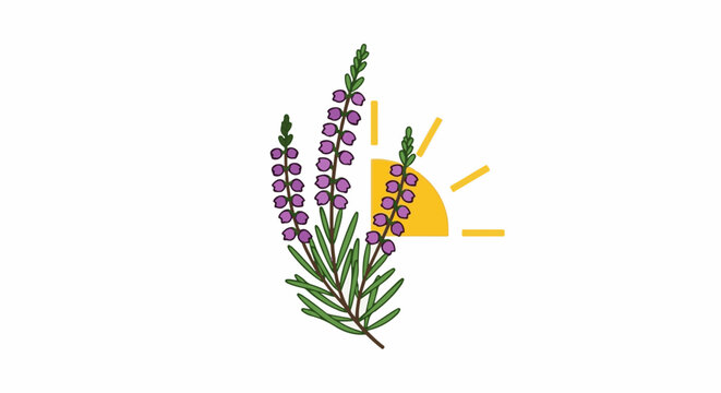 Purple heather blooms with a stylized sun rising behind them