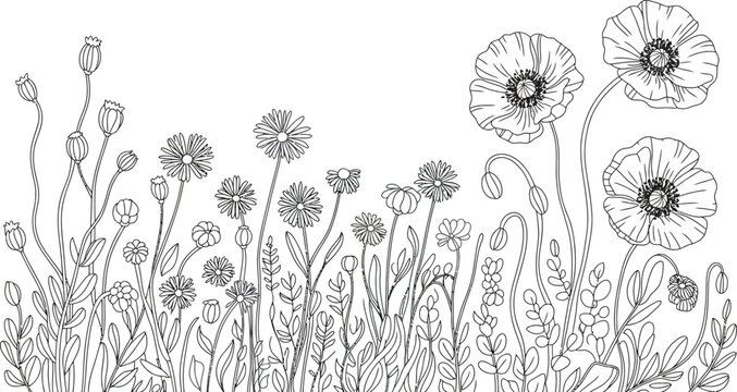 Poppy Outlines Images – Browse 29,080 Stock Photos, Vectors, and Video ...